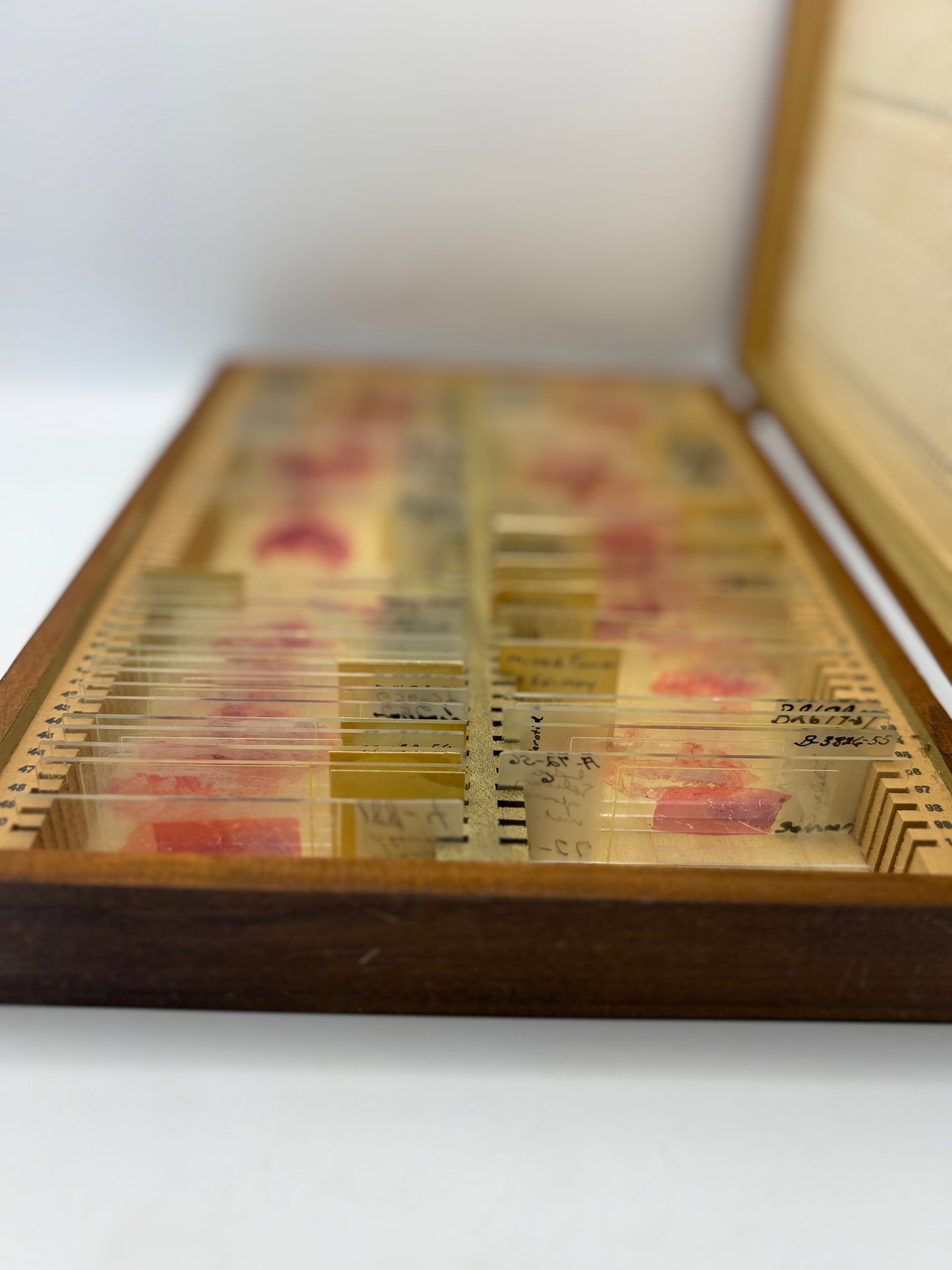 Vintage Wooden Box of Glass Slides of Blood Samples. Real Life Dexter Stuff!