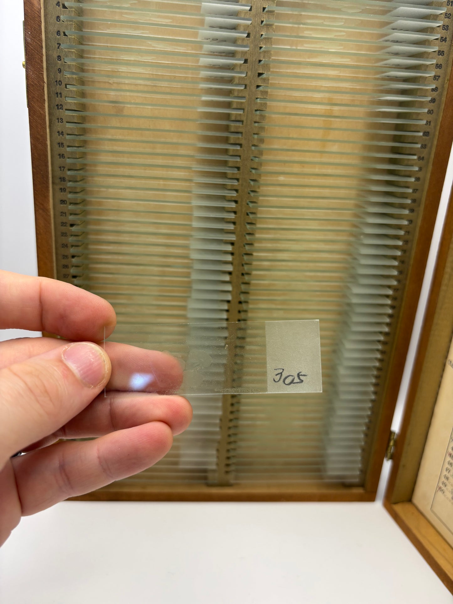 Vintage Wooden Box of Glass Slides of Specimen Samples. Real Life Dexter Stuff! (Copy)