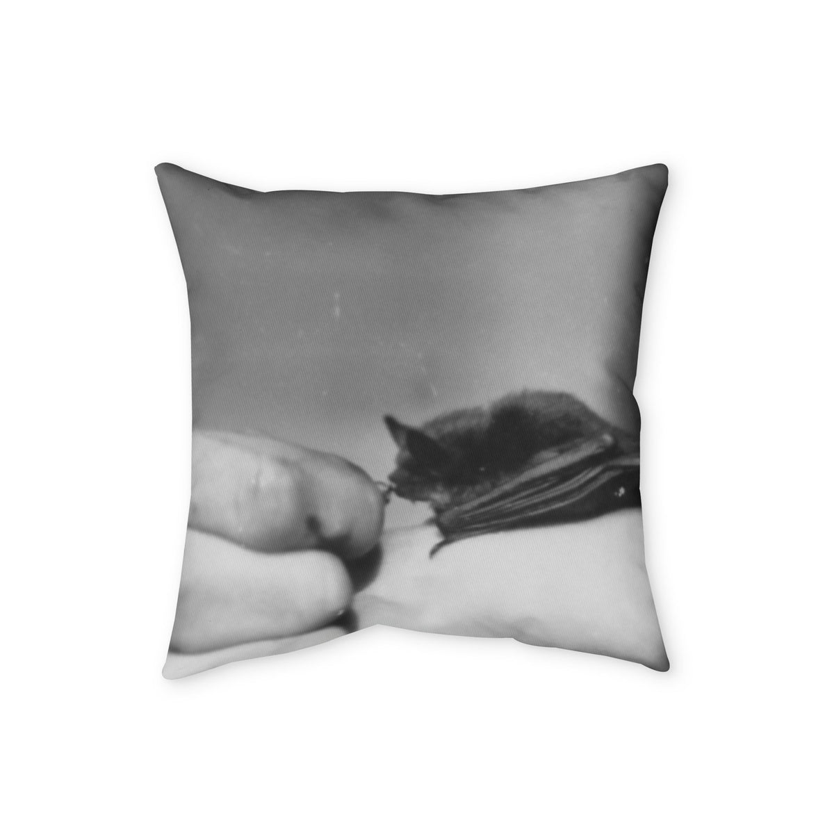 Throw Pillow COVER w/ Authentic Vintage Oddity Image 1940s Baby Bat Drinking From Hand 'Bat Spit Crazy'