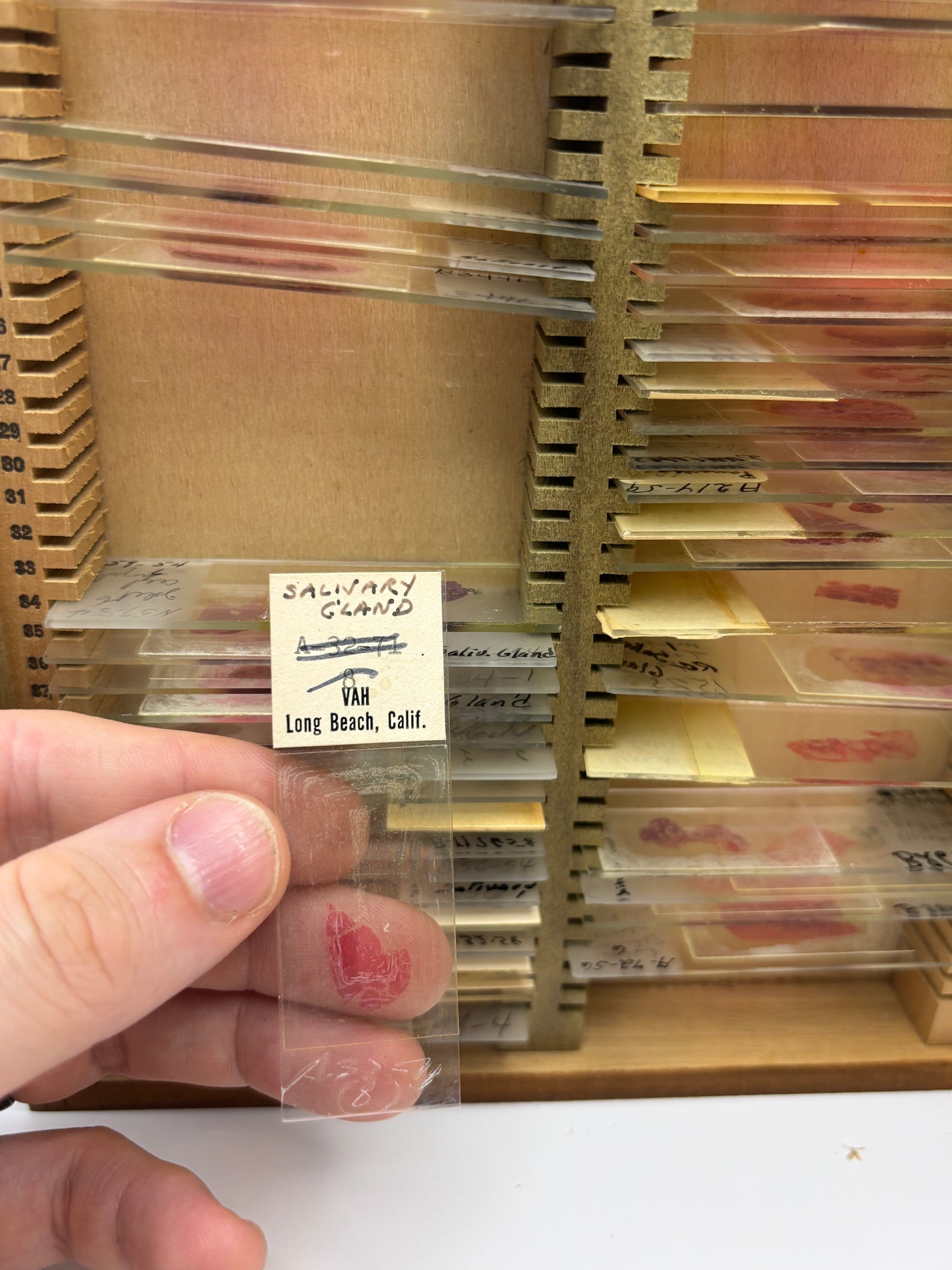 Vintage Wooden Box of Glass Slides of Blood Samples. Real Life Dexter Stuff!